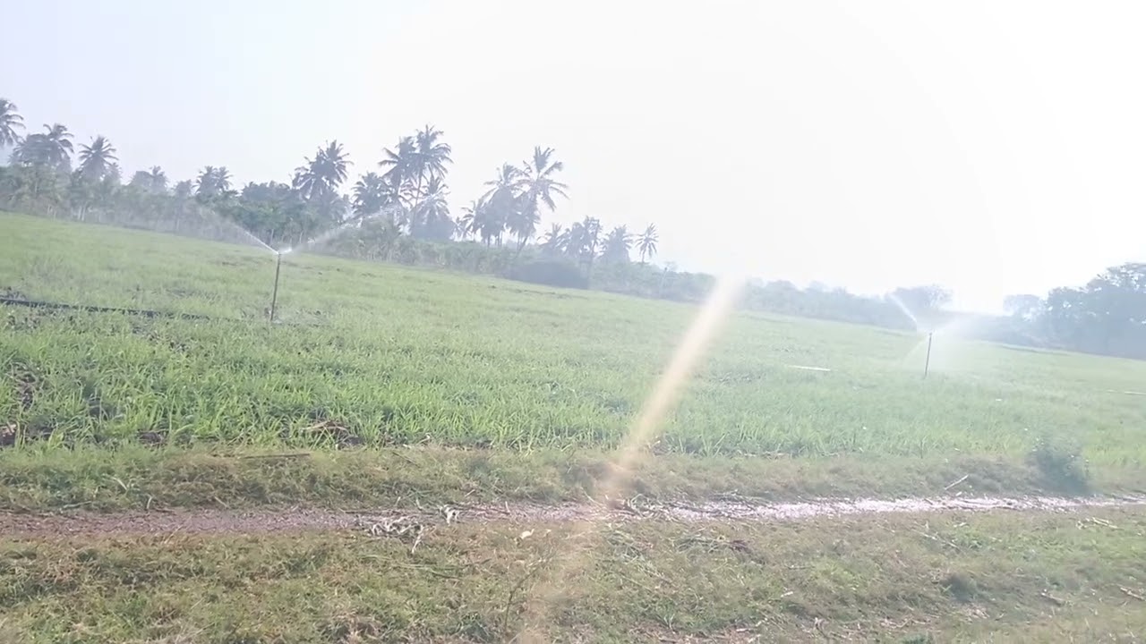 ನಮ್ಮ ಹೊಲ ಸಿಂಪ್ಲರ್ ವಿಡಿಯೋ ನೋಡಿ 🙏🙏#treandingnow#explorepage#treandingnow#viralvedios 