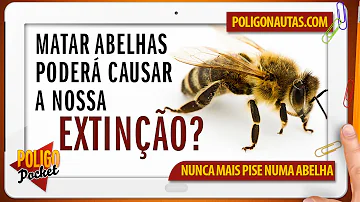 O que aconteceria se os animais polinizadores fossem extintos?