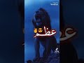 لا سيادة في وجود القيادة
