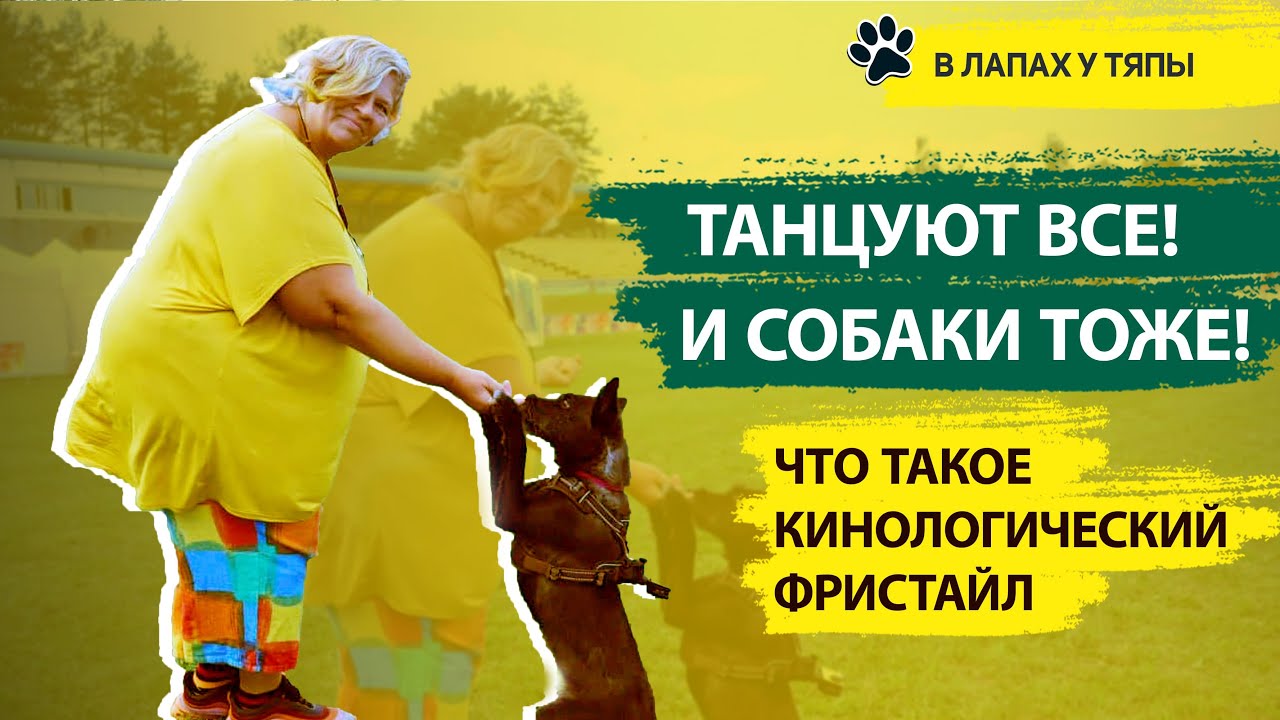 ⁣🐕‍🦺 Собачий спорт: Танцы с собаками / Кинологический фристайл | Необычные виды спорта