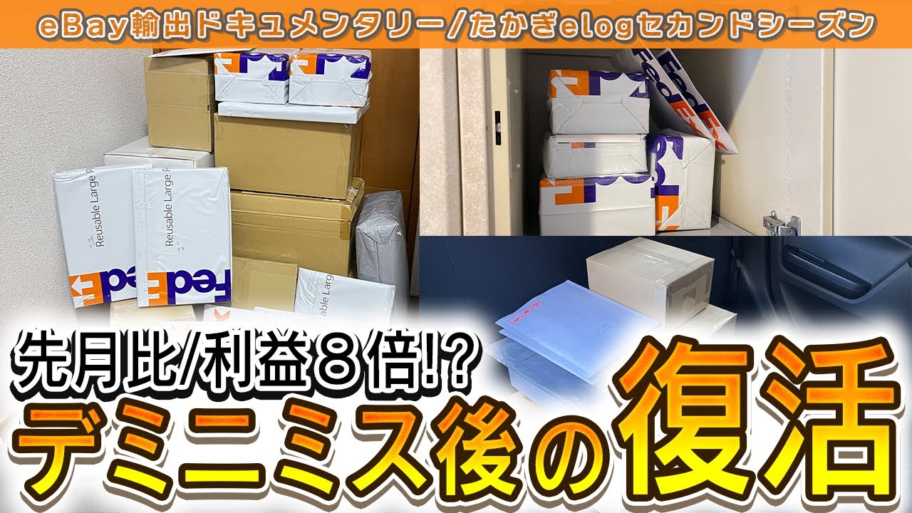 eBay Export] Sales Decline → Profits Recover 8x. Temporary