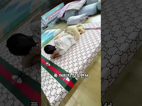 매트리스 계의 구짜 발바리 thumbnail
