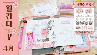 Monthly Diary Decoration] April : Card Captor Sakura 6hole Diary with Cherry Blossom Edirion Sticke