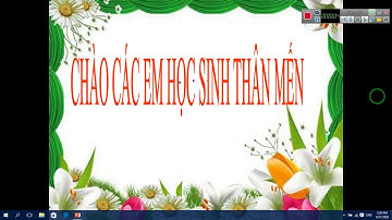 SINH HỌC 8| BÀI 38: Bài tiết và cấu tạo hệ bài tiết nước tiểu (P1)