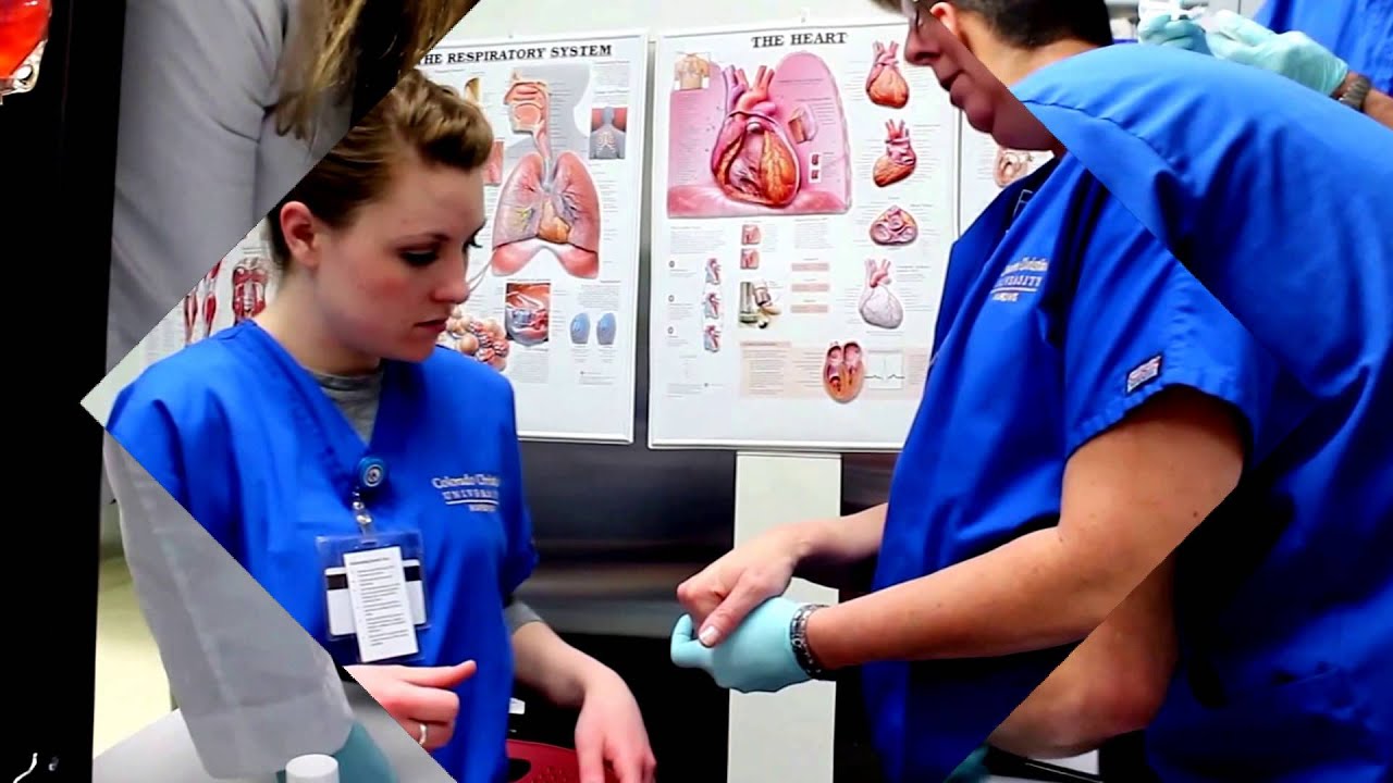 Online Nursing Degree Bachelors Degree In Nursing YouTube Online nursing degree bachelors degree in nursing youtube