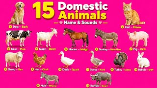 15 Domestic Animals Names in English & Hindi with Sounds | Kids Learning Animals | SuperkidosTV