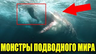 НЕТ СЛОВ! ПРИ ВИДЕ ЭТИХ КАДРОВ КРОВЬ СТЫНЕТ В ЖИЛАХ! МОРЯКИ ПОСЕДЕЛИ НА МЕСТЕ!