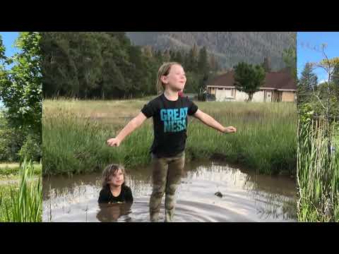 @Survivorman - Les Stroud's Backyard Pond Attracts Everything From Frogs to Elk