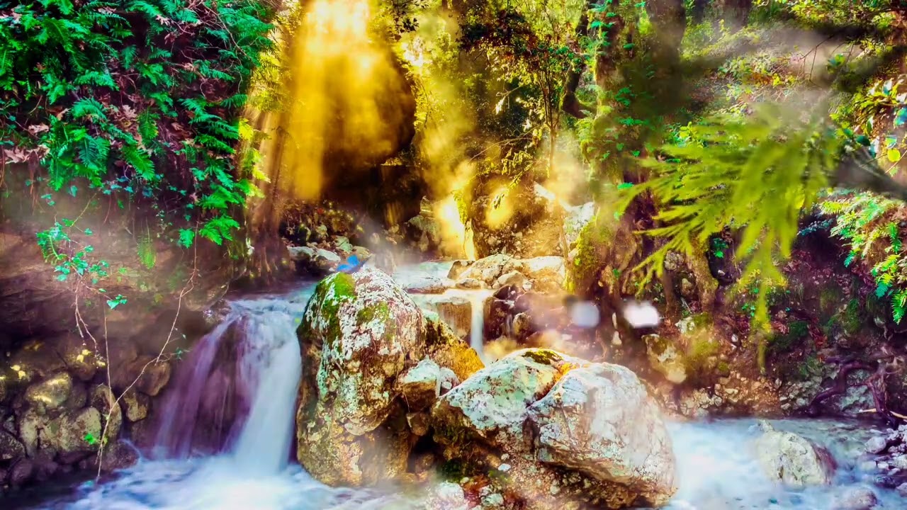 Magical Celtic Forest - St. Patrick's Day II Ambience