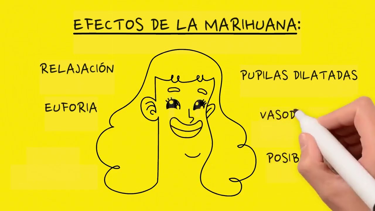 Historia de la Marihuana con BuenChurro - Que es el cannabis y hace cuanto se utiliza?