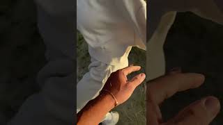 Only Way To Slow Them Down