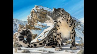 14' x 18' oil on canvas Snow Leopard by Charles Wissig 268 views 2 months ago 1 minute, 43 seconds