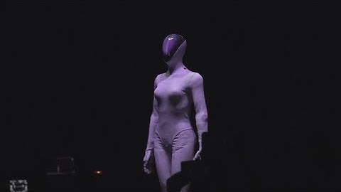 Powered by AI, the era of humanoid robots is here • FRANCE 24 English