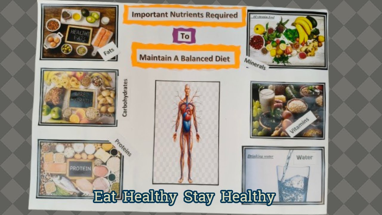 Important Nutrients for a Balanced Diet  | National Nutrition Week Poster | World Health Day Poster