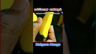 Malgova Mango Shankars View malgova mango fruitcutting ShankarsView