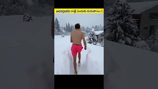 Why Mosquito Bites At Night Only🔥 #telugufacts #telugu #shorts #viralnews #viral