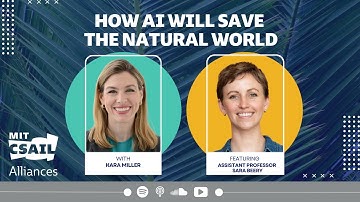 How AI Can Help Save the Natural World with MIT CSAIL Assistant Professor Sara Beery