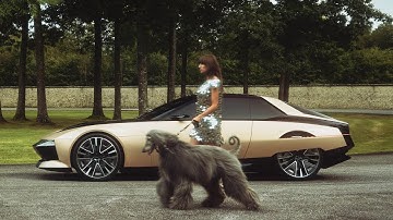 DS Automobiles I SM TRIBUTE