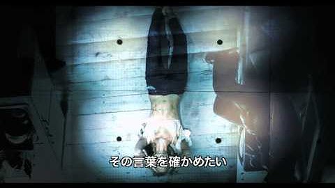 映画『YES／NO　イエス・ノー』劇場予告編