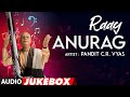 Raag Anurag Instrumental Audio Jukebox | Vocal Instrumental | Pandit C.R. Vyas | T-Series Classics