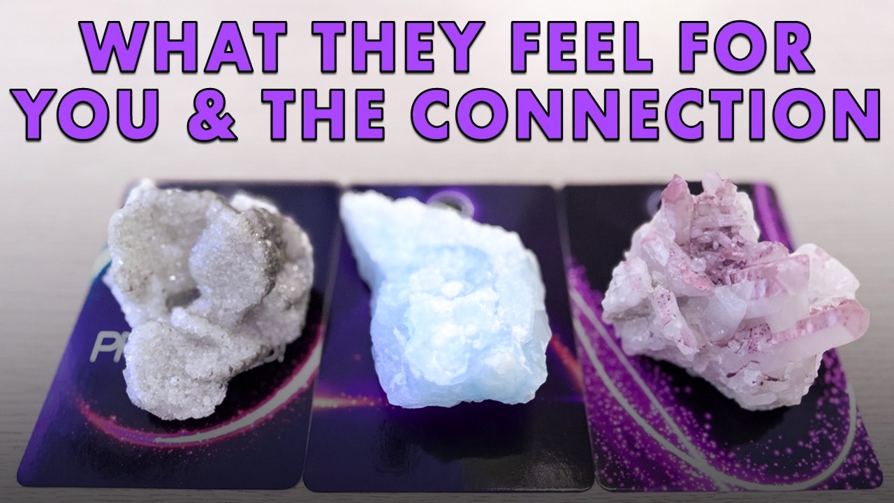 🔮 What They Feel for You & The Connection | Their Thoughts + Actions | Pick A Card Tarot Reading