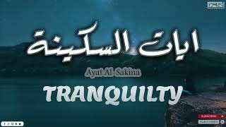 آيات السكينة لدفع القلق والهموم 🎧 بصوت القارئ احمد النفيس تلاوة هادئة AYAT OF TRANQUILITY ❤ SAKINAH