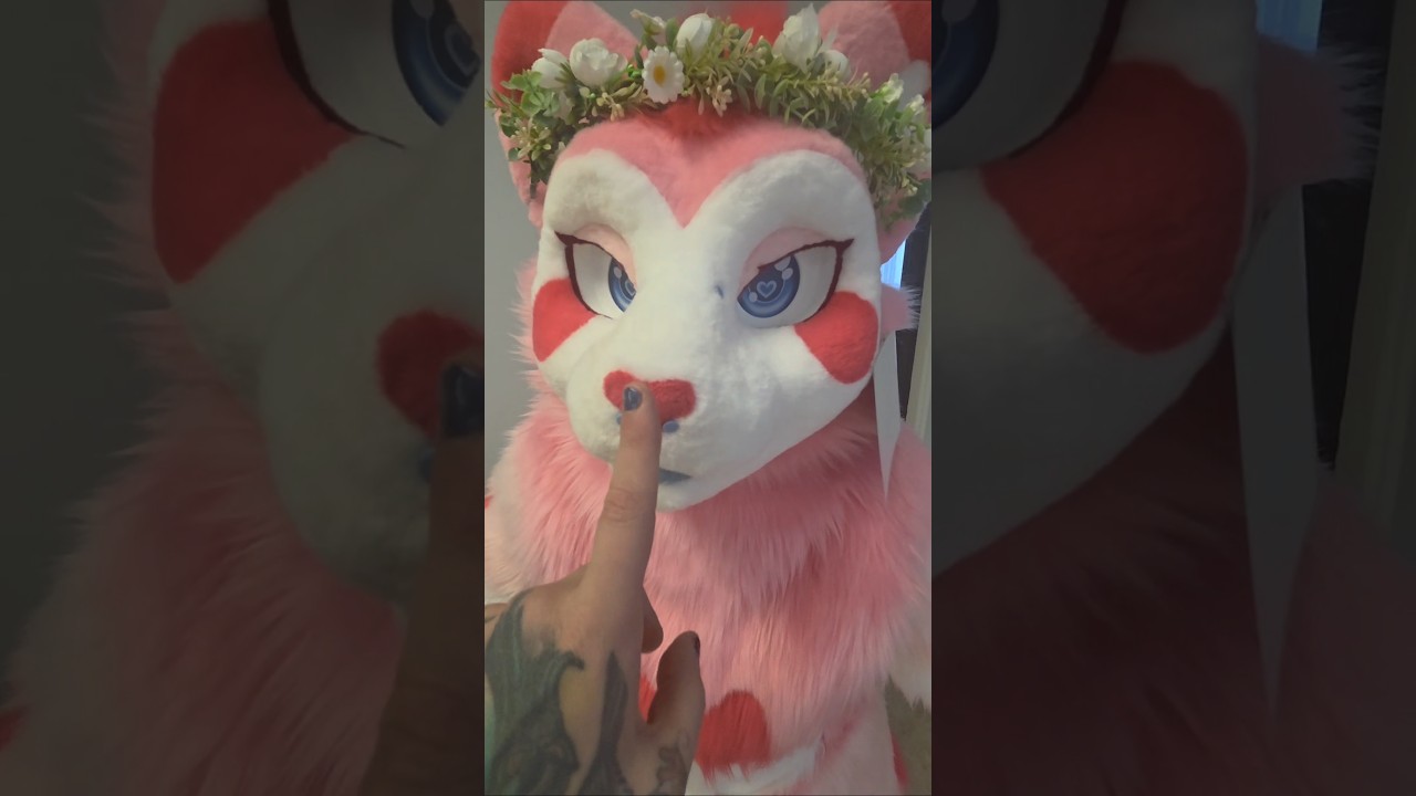 A normal boopies 🫶