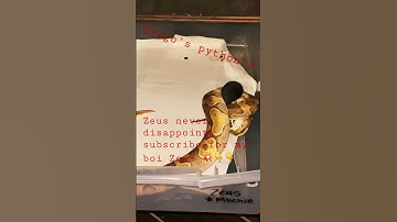 ⚠️live feeding # subscribe # viral #livefeeding #python #rat #breeding