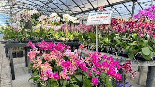 Beautiful Garden Center Tour in Naples, Fl