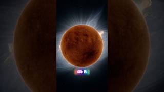 The Sun Is Waking Up… And Scientists Are Watching Closely ☀️