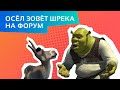 Осёл зовёт Шрека на форум