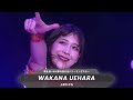 TJPW Wakana Uehara Custom Titantron