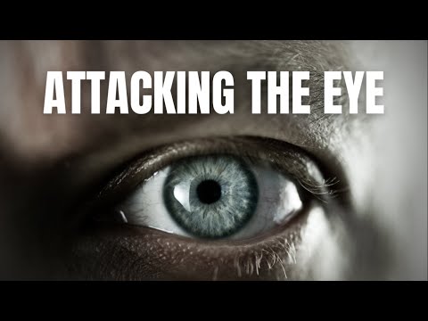 Attacking The Eye - Tim Larkin - Target Focus Training - Self Protection - Self Defense Techniques