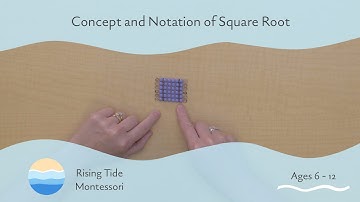 Concept and Notation of Square Root