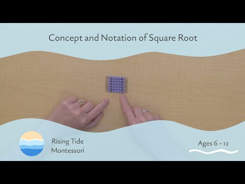 Concept and Notation of Square Root