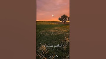 #عبدالرحمن_مسعد #سورة_يونس #اكسبلور 🤍🌱