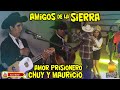 Trio Amigos de la Sierra 🎻 Castillo Dorado  Chuy y Mauricio