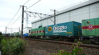 2019/06/15 JR貨物 朝の定番貨物列車3本 90分遅れの1055レに大ネコロジーコンテナ