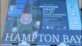 Celebrity Hampton Bay Patio lights #lawncare #landscaping #patio #patiolights Net Worth