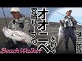 オオニベを釣る in 宮崎県！ヒラメハンター堀田光哉、オオニベに出会えるのか！？