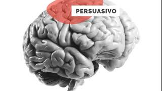 brain prezi
