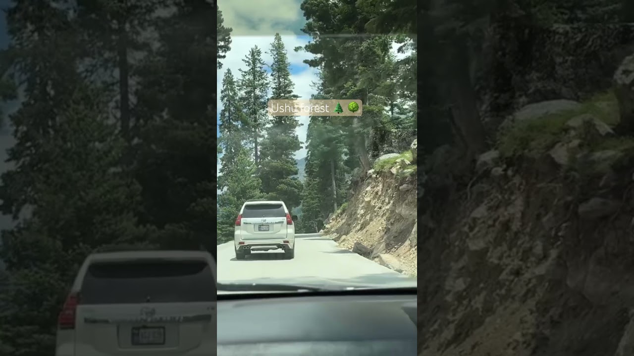 Ushu forest | Kalam Swat pakistan | day and night | roads of ushu forest 