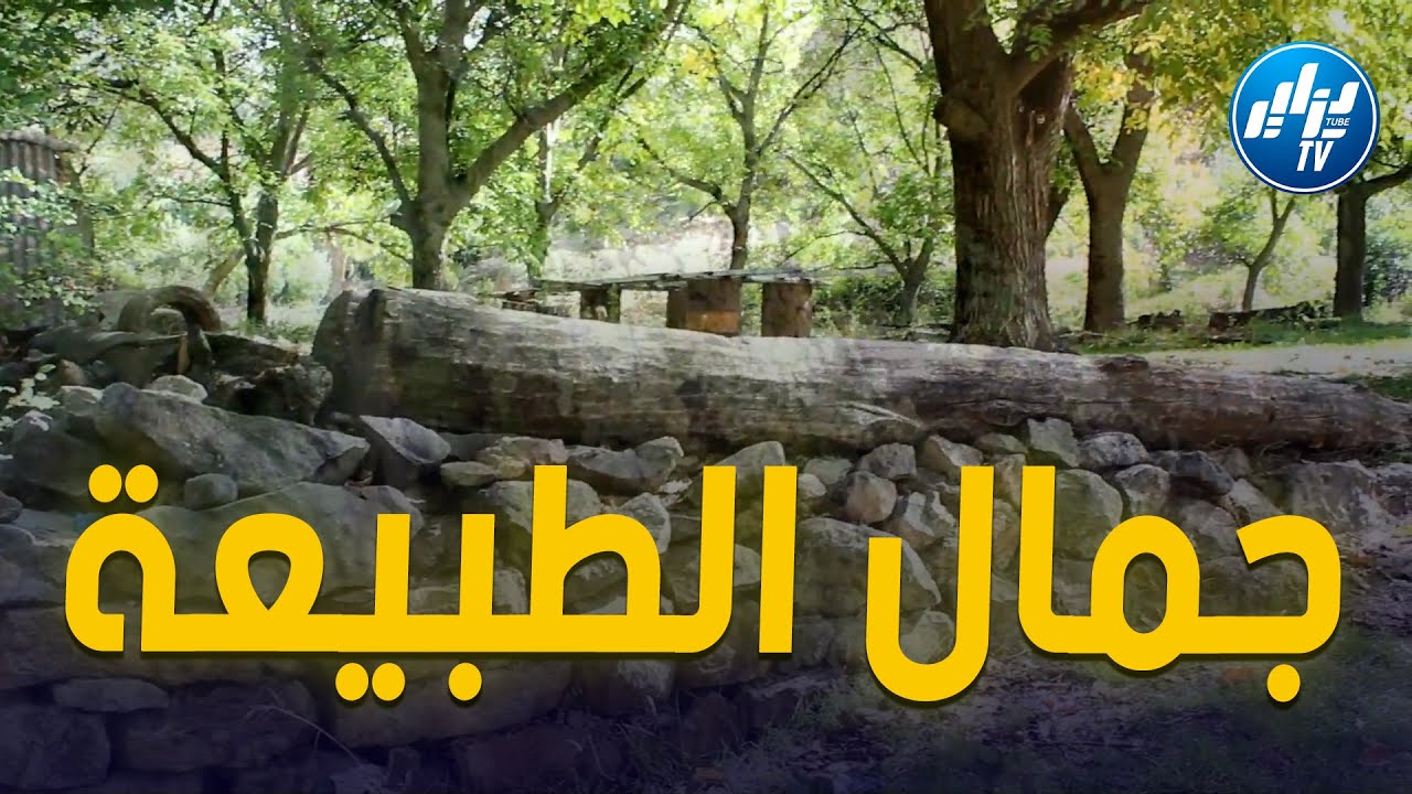 شاهد من جمال الجزائر ...منطقة الرحوات بلدية حيدوسة ولاية باتنة