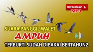 Suara Panggil Walet Terbaik, Sudah Terbukti Ampuh Dipakai Bertahun2