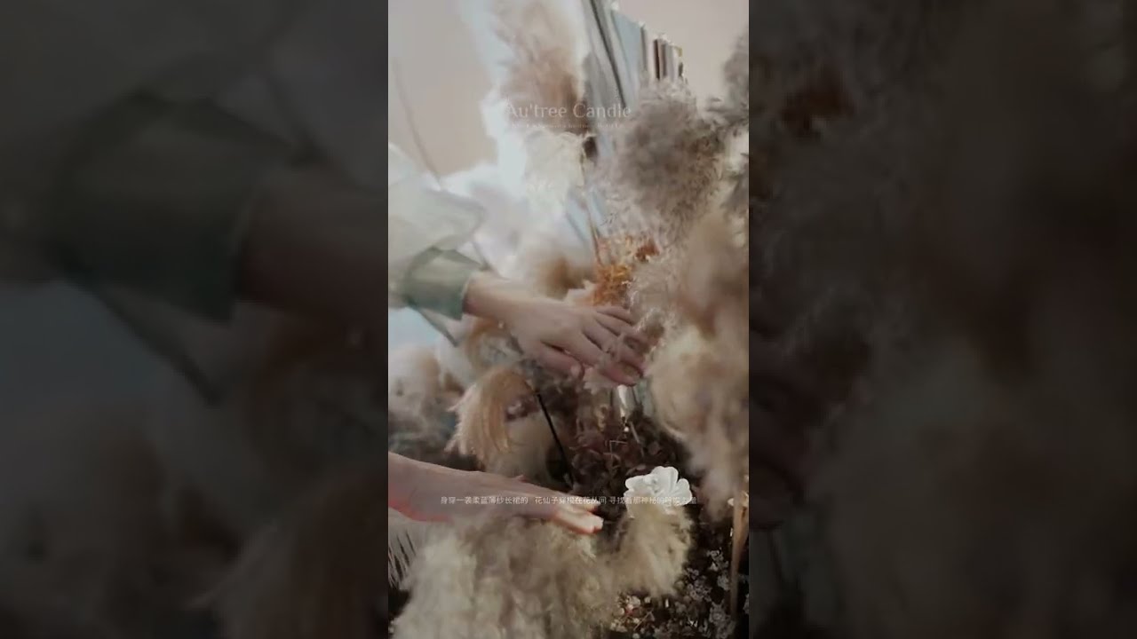 Au'tree Candle New Coming Collection