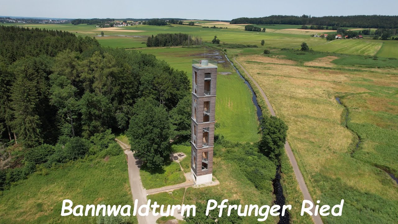 Bannwaldturm Pfrunger Ried