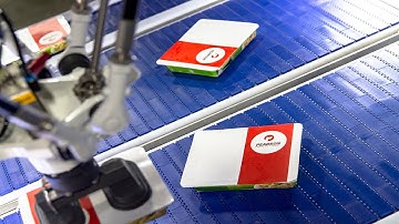 Robotic Product Reorientation - Frozen Trays of Food