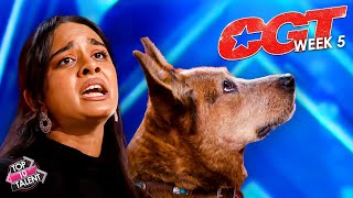 AMAZING Got Talent Singers, Animals, and More 🐶🎶 CGT Week 5