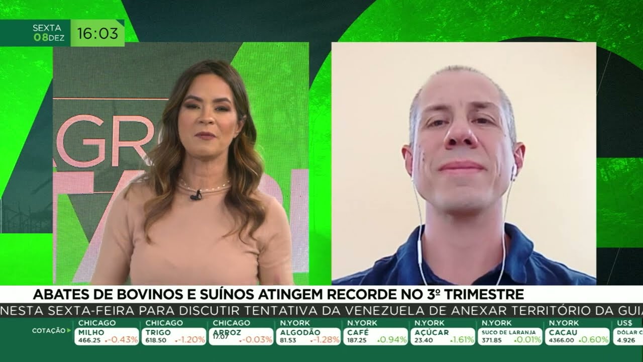 Abates de bovinos e suínos atingem recorde no 3º trimestre