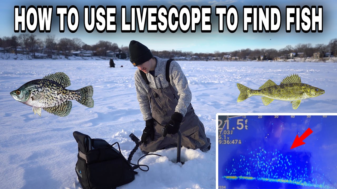 Garmin Livescope  What It Is, How It Works and More - Wired2Fish